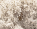Cashmere