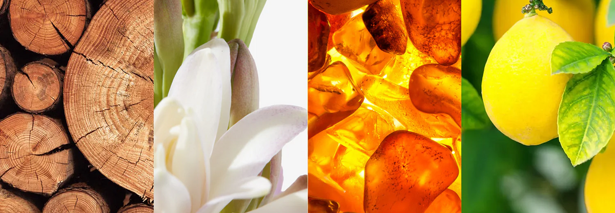 Fragrance Families