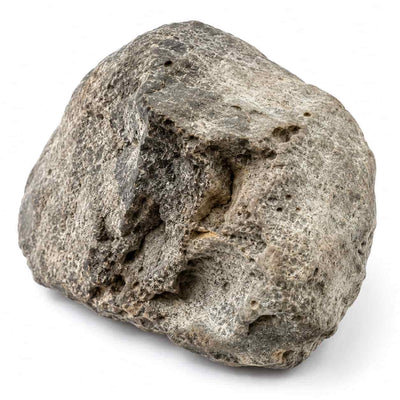 Ambergris