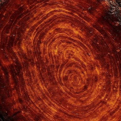 Amberwood