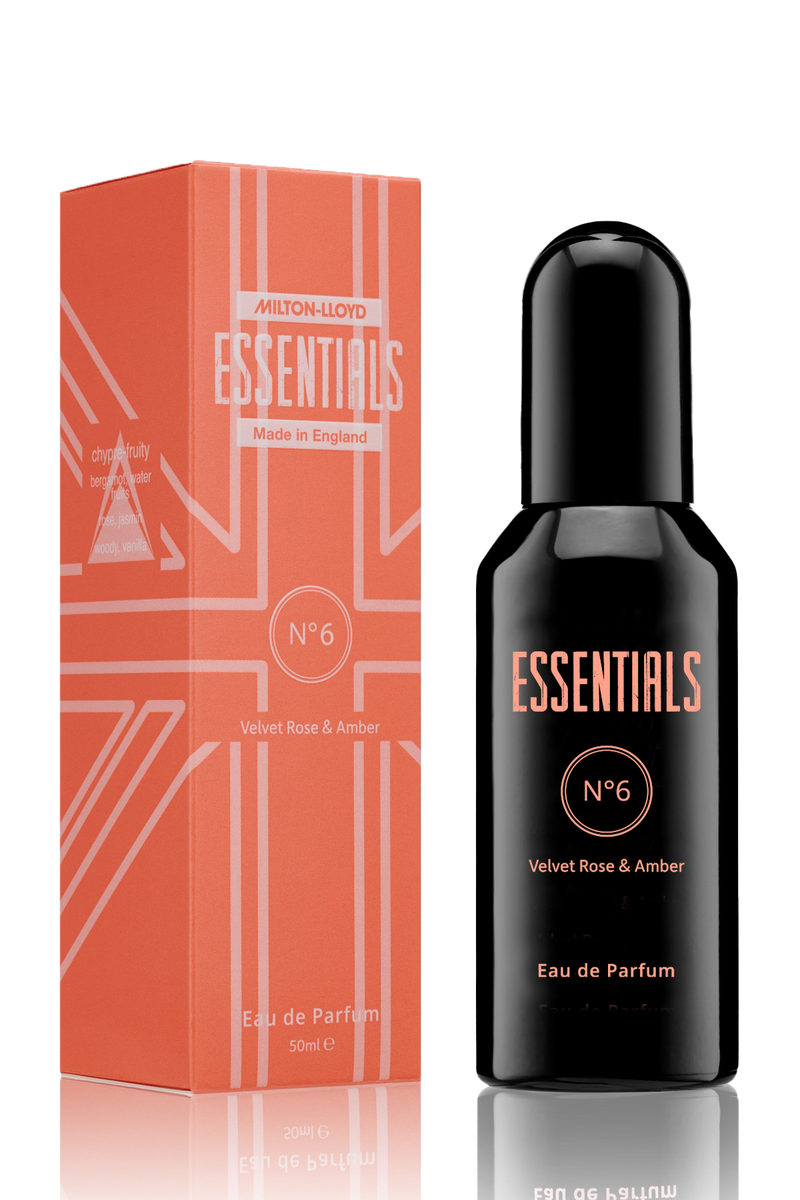 Essentials No.6