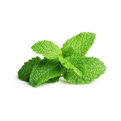 Mint