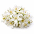 Neroli