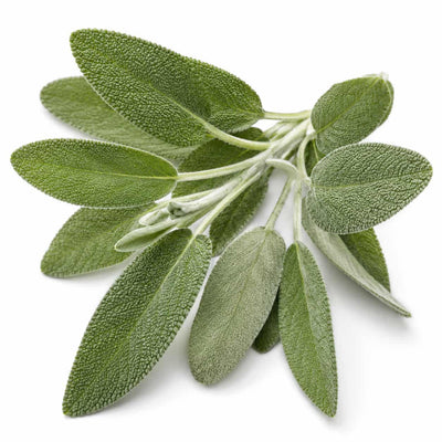 Sage