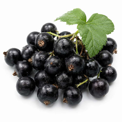 Blackcurrant